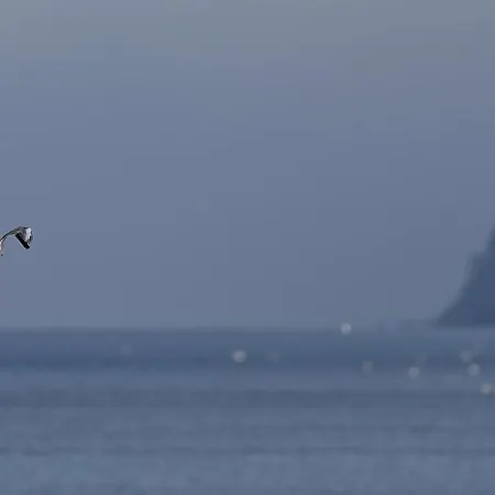 펜션 Mamre - Dom Jaba *