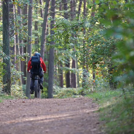 Mamre - Dom Jaba 펜션 *