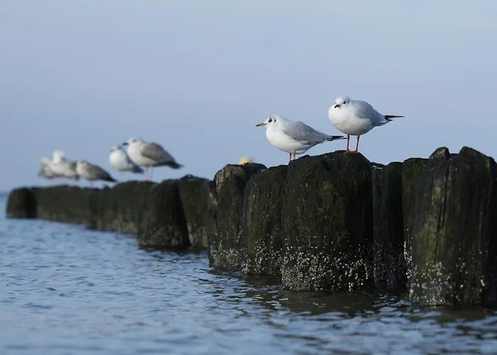 Mamre - Dom Jaba Casa de Férias Kołczewo
