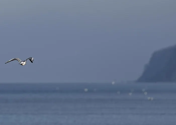 Casa de Férias Mamre - Dom Jaba *